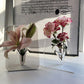 🏺 Nordisk stil elegant Ins ramme & vase i ett 🌷