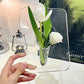 🏺 Nordisk stil elegant Ins ramme & vase i ett 🌷