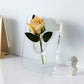 🏺 Nordisk stil elegant Ins ramme & vase i ett 🌷