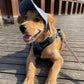 Hundehatt