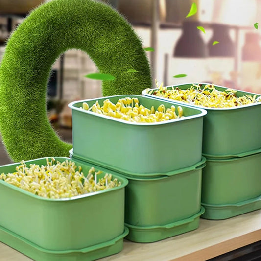 🌱Stablebar bønnespirevekstboks (50 % RABATT)