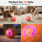 ⏰🔥BEGRENSET TID: 48% RABATT!🔥OVER 50 000 SOLGT! 🐾 AUTOMATISK SPRETTENDE SMART KJÆLEDYRBALL MED FJERNKONTROLL – 3 interaktive moduser | Tyggesikker E-TPU | USB-C-oppladbar 🎾
