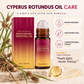 🧴50 % RABATT NÅ! Beroligende roll-on etter hårfjerning med Cyperus rotundus